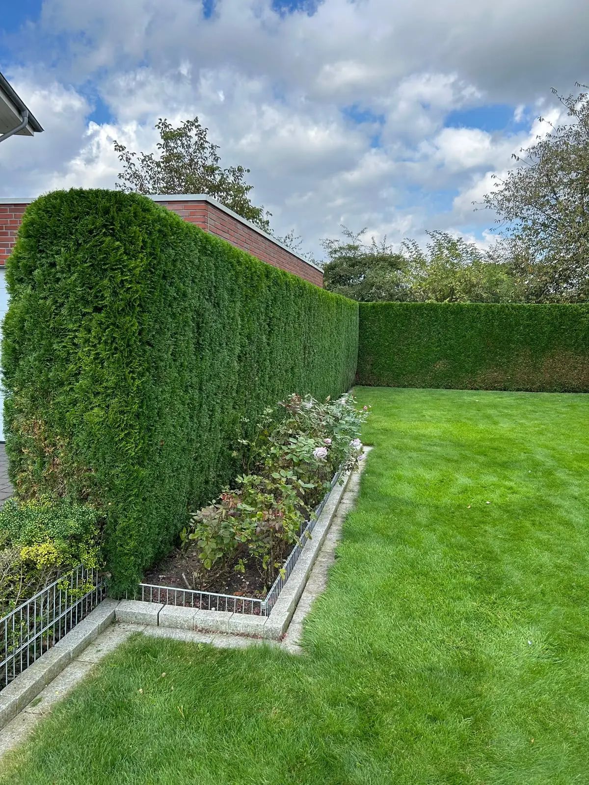 Heckenpflege & Gartenpflege
